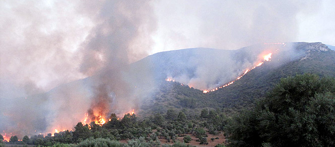 www.mallorcadiario.com  fotos 1 uploads 2011 07 incendios1
