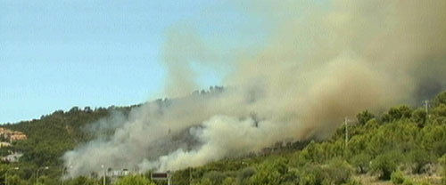 www.mallorcadiario.com  fotos 1 uploads 2011 08 incendioarta
