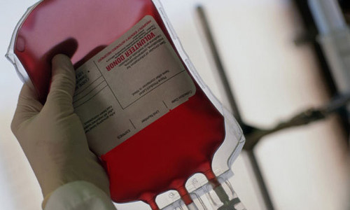 www.mallorcadiario.com wp content uploads sites 2 2011 08 sangre