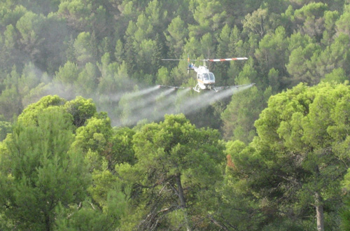 www.mallorcadiario.com  fotos 1 uploads 2011 11 helicptero paraweb