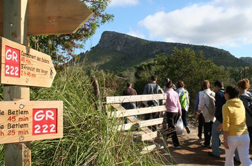 www.mallorcadiario.com  fotos 1 uploads 2011 11 parc llevant