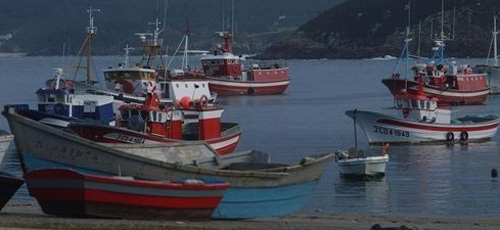 www.mallorcadiario.com  fotos 1 uploads 2011 11 pesca para web