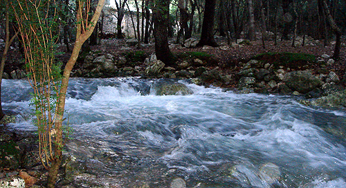 www.mallorcadiario.com  fotos 1 uploads 2011 11 sesfontsufanes