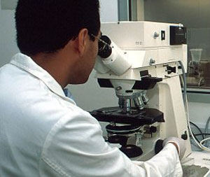 www.mallorcadiario.com  fotos 1 uploads 2011 12 investigacionok