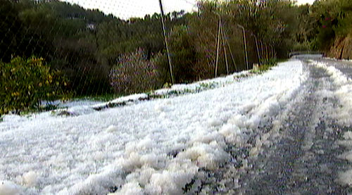 www.mallorcadiario.com  fotos 1 uploads 2012 02 1301358337
