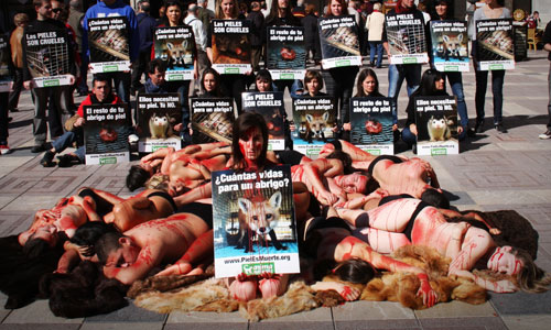 www.mallorcadiario.com  fotos 1 uploads 2012 02 ANIMA NATURIS