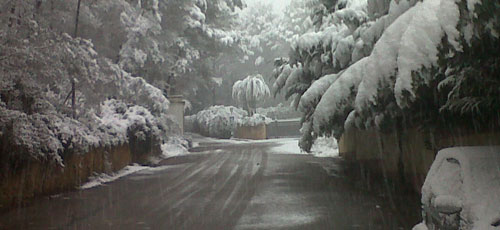 www.mallorcadiario.com  fotos 1 uploads 2012 02 NIEVE 1 PARA WEB2