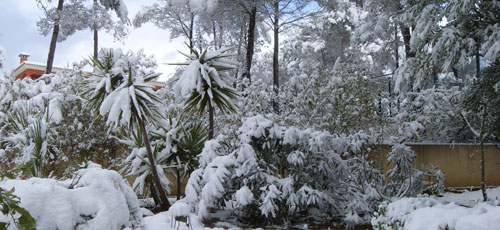 www.mallorcadiario.com  fotos 1 uploads 2012 02 NIEVE 9 PARA WEB3