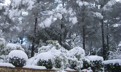 www.mallorcadiario.com  fotos 1 uploads 2012 02 tiempo para web