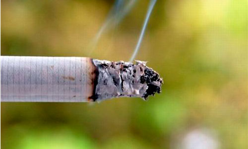 www.mallorcadiario.com  fotos 1 uploads 2012 03 cancerprevenirok