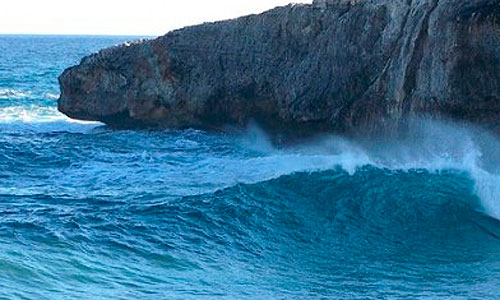 www.mallorcadiario.com  fotos 1 uploads 2012 04 oelaje mallroca para web