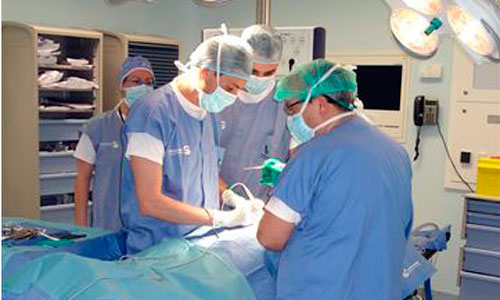 www.mallorcadiario.com  fotos 1 uploads 2012 04 rinontumorok