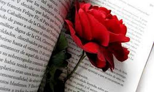 www.mallorcadiario.com  fotos 1 uploads 2012 04 rosa y libro ok