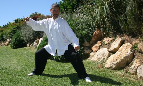 www.mallorcadiario.com  fotos 1 uploads 2012 04 tai chi ok
