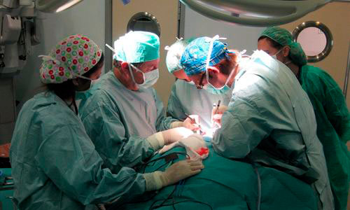 www.mallorcadiario.com  fotos 1 uploads 2012 05 pulmonesok