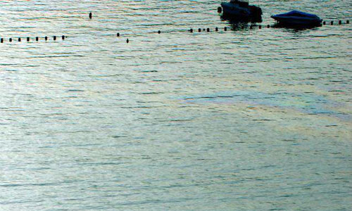 www.mallorcadiario.com  fotos 1 uploads 2012 06 manchasok