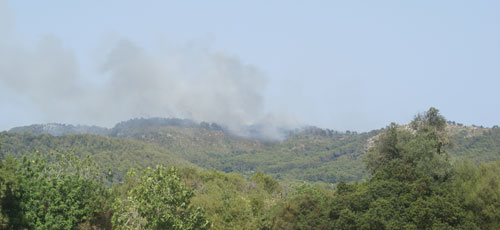 www.mallorcadiario.com  fotos 1 uploads 2012 08 fuego5