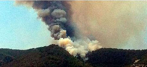 www.mallorcadiario.com  fotos 1 uploads 2012 08 incendio para web2