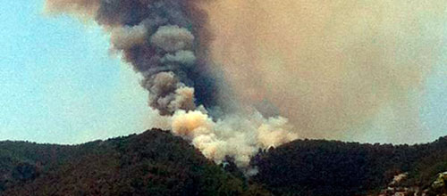 www.mallorcadiario.com  fotos 1 uploads 2012 08 incendiook