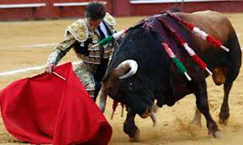 www.mallorcadiario.com  fotos 1 uploads 2012 08 torostveok