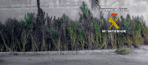 www.mallorcadiario.com  fotos 1 uploads 2012 09 guardiacivilOK