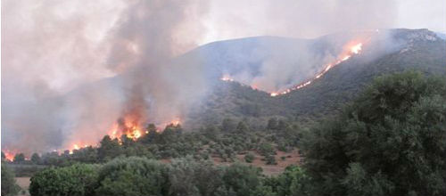www.mallorcadiario.com  fotos 1 uploads 2012 09 incendio2