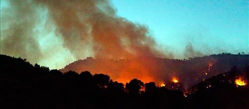 www.mallorcadiario.com wp content uploads sites 2 2012 09 focok