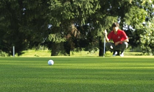 www.mallorcadiario.com  fotos 1 uploads 2012 10 golf son muntaner col2 okj