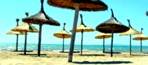 www.mallorcadiario.com  fotos 1 uploads 2012 10 playa palma1