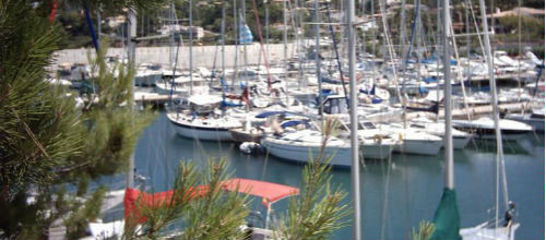 www.mallorcadiario.com fotos 1 uploads 2012 10 puerto deportivo bonaire cocodrilo 71269020111149545250555256704548x