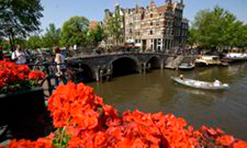 www.mallorcadiario.com  fotos 1 uploads 2012 11 amsterdamok