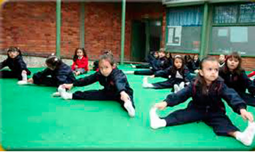 www.mallorcadiario.com  fotos 1 uploads 2012 11 gimnasiaok