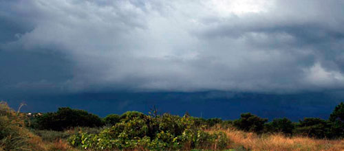 www.mallorcadiario.com wp content uploads sites 2 2012 11 temporalok