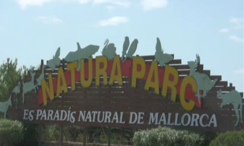www.mallorcadiario.com  fotos 1 uploads 2012 12 natura2