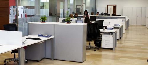 www.mallorcadiario.com wp content uploads sites 2 2012 12 funcionarios trabajando col1 ok