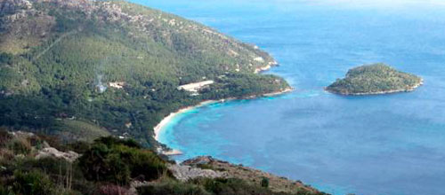 www.mallorcadiario.com  fotos 1 uploads 2013 01 litoralok