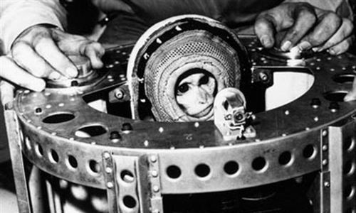 www.mallorcadiario.com  fotos 1 uploads 2013 01 mono astronauta col2 ok