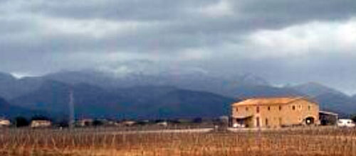 www.mallorcadiario.com  fotos 1 uploads 2013 01 nieve1ok