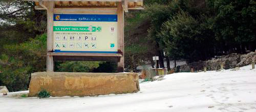 www.mallorcadiario.com wp content uploads sites 2 2013 01 nieve2ok