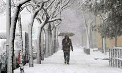 www.mallorcadiario.com  fotos 1 uploads 2013 02 friook
