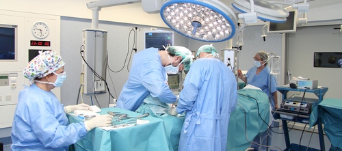 www.mallorcadiario.com  fotos 1 uploads 2013 03 Quirofan col1ok