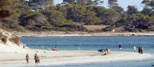 www.mallorcadiario.com  fotos 1 uploads 2013 03 buentiempocol1
