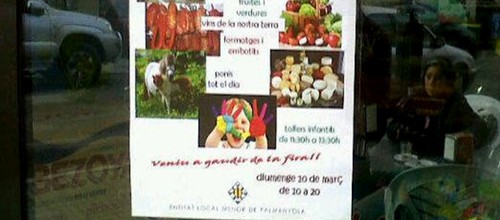 www.mallorcadiario.com  fotos 1 uploads 2013 03 ponis palmanyola col1ok