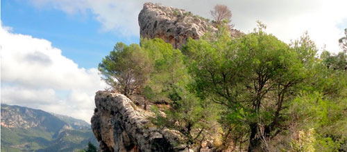 www.mallorcadiario.com  fotos 1 uploads 2013 03 sagubiaok