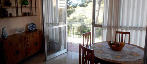 www.mallorcadiario.com  fotos 1 uploads 2013 03 vacaciok