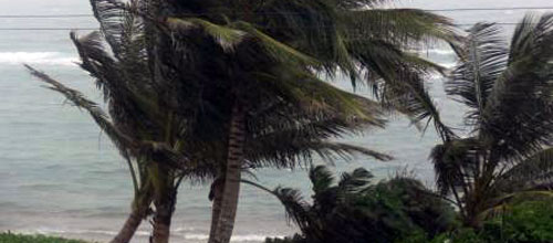 www.mallorcadiario.com wp content uploads sites 2 2013 02 vientook
