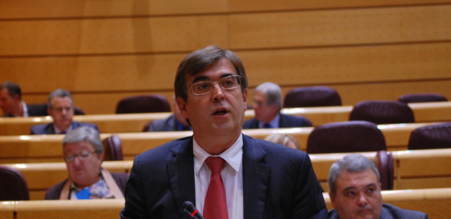 antich-pleno-senado