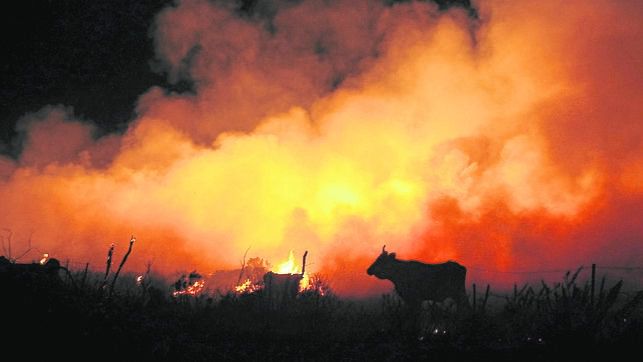 incendio asturias