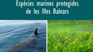 Especies protegidas de Balears