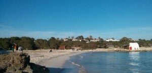 binibeca